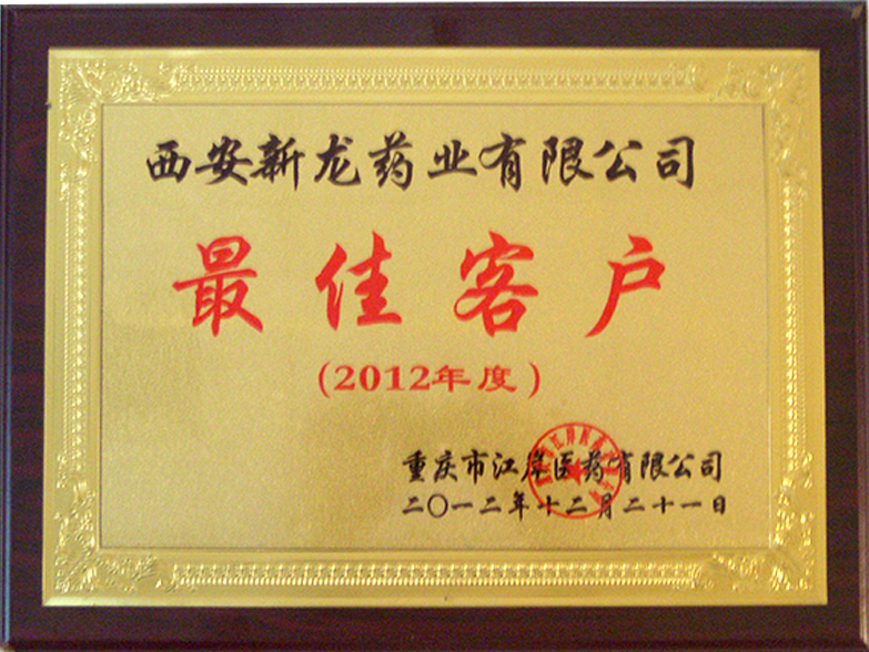 最佳优秀合作伙伴